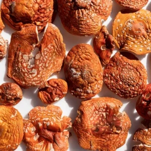 Dried Amanita Muscaria Broken Caps