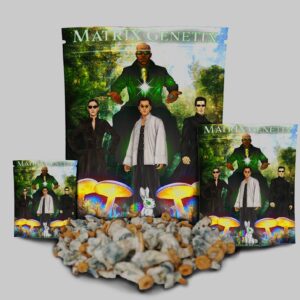 McKennaii Magic Mushrooms