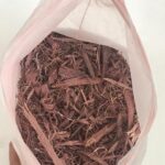 mimosa hostilis for sale